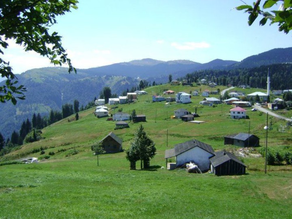 Hidirnebi yaylasi