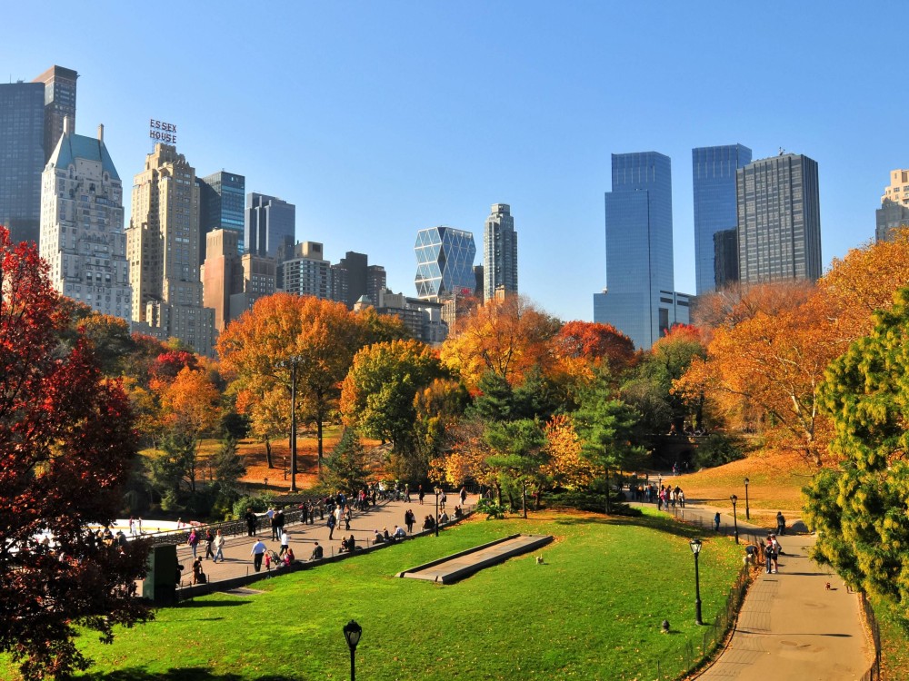 Central Park