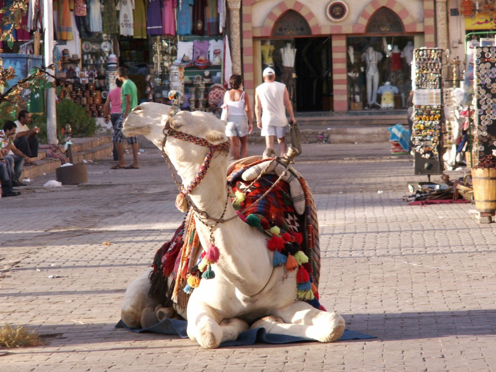 Old Market (Sharm El-Maya)