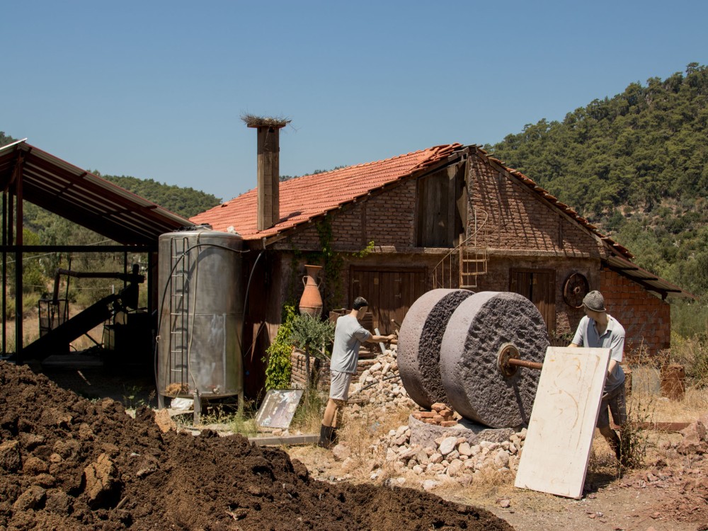 Bayır (Village Bayır)