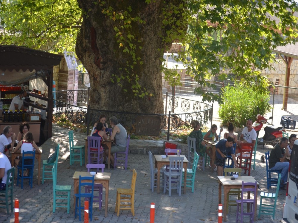 Bayır (Village Bayır)