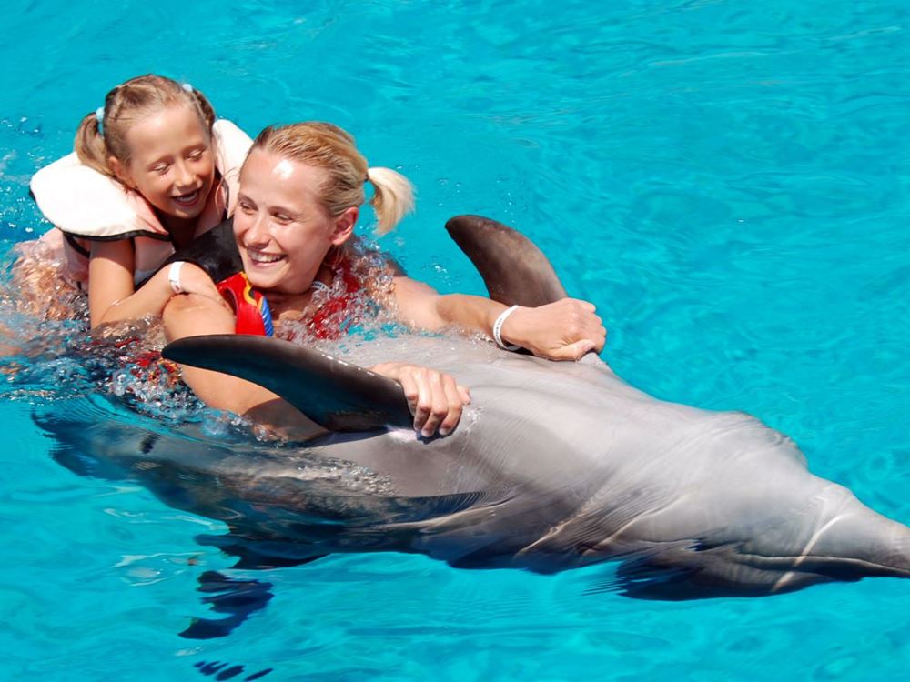 Things To Do In Side For Families<