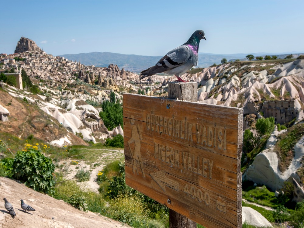Cappadocia: When should I go to Cappadocia? | ®ExcursionMania