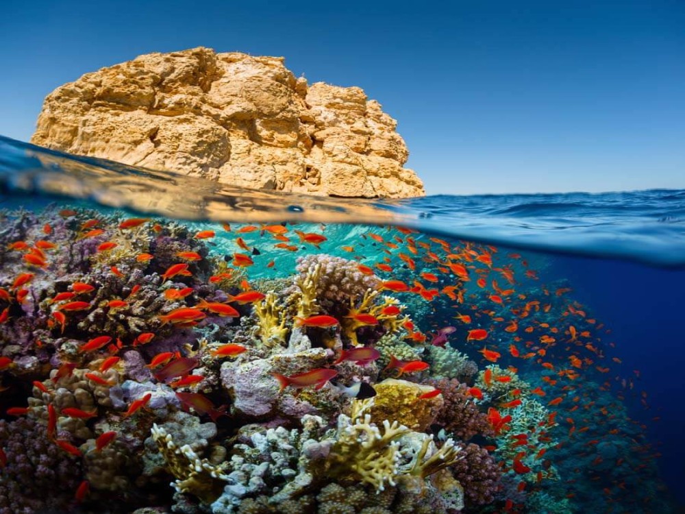 Red Sea
