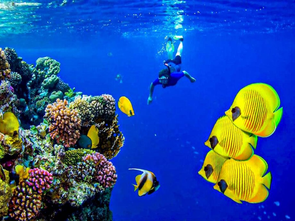 Red Sea