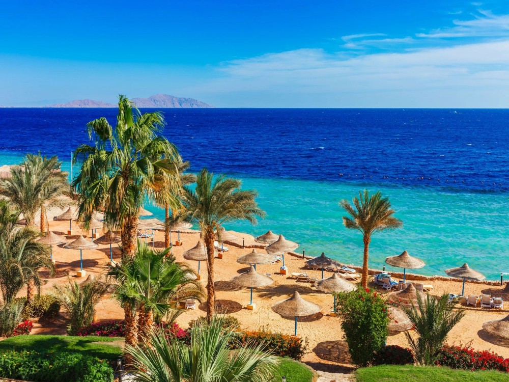 Red Sea