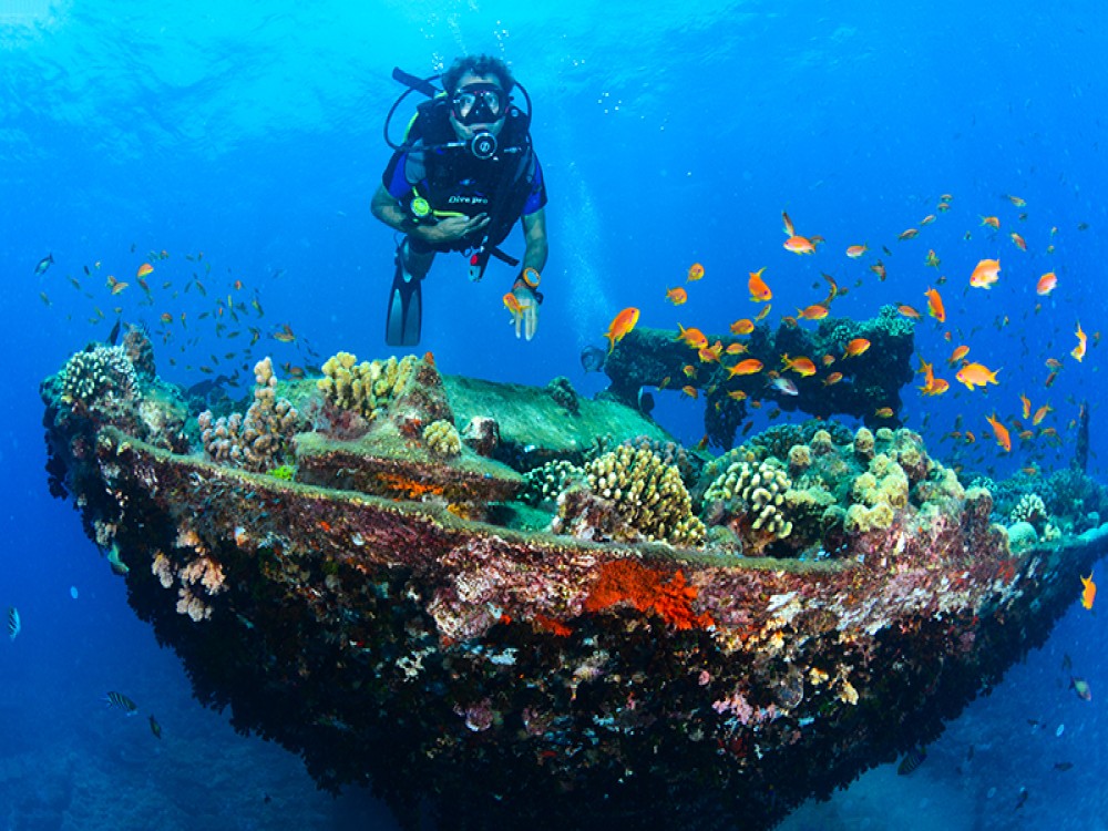 Red Sea