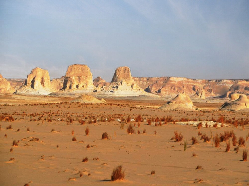 Desert