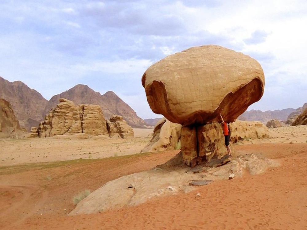 Mushroom Hill