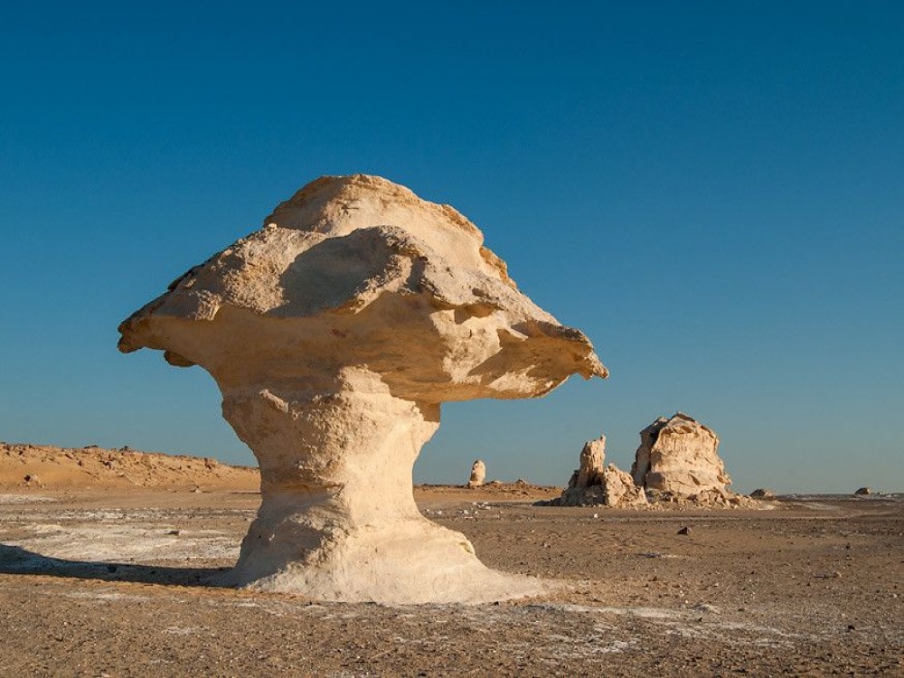 Mushroom Hill