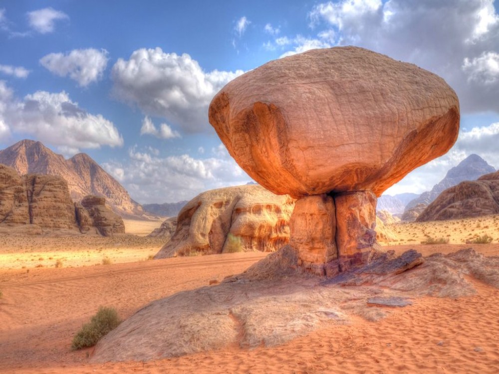 Mushroom Hill