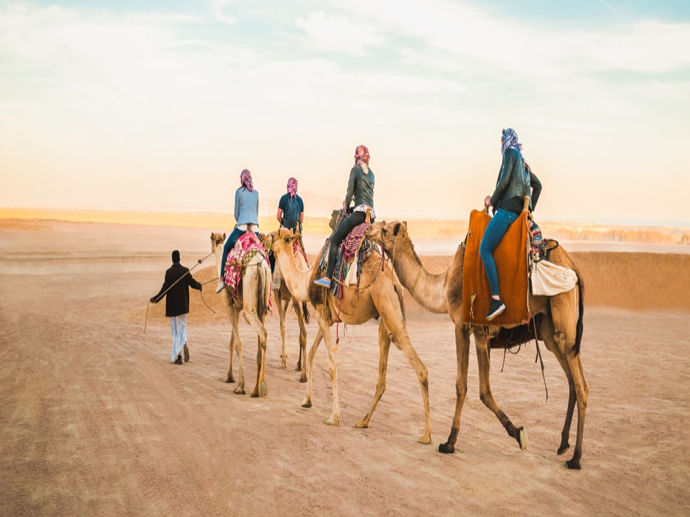  Al Marmoom