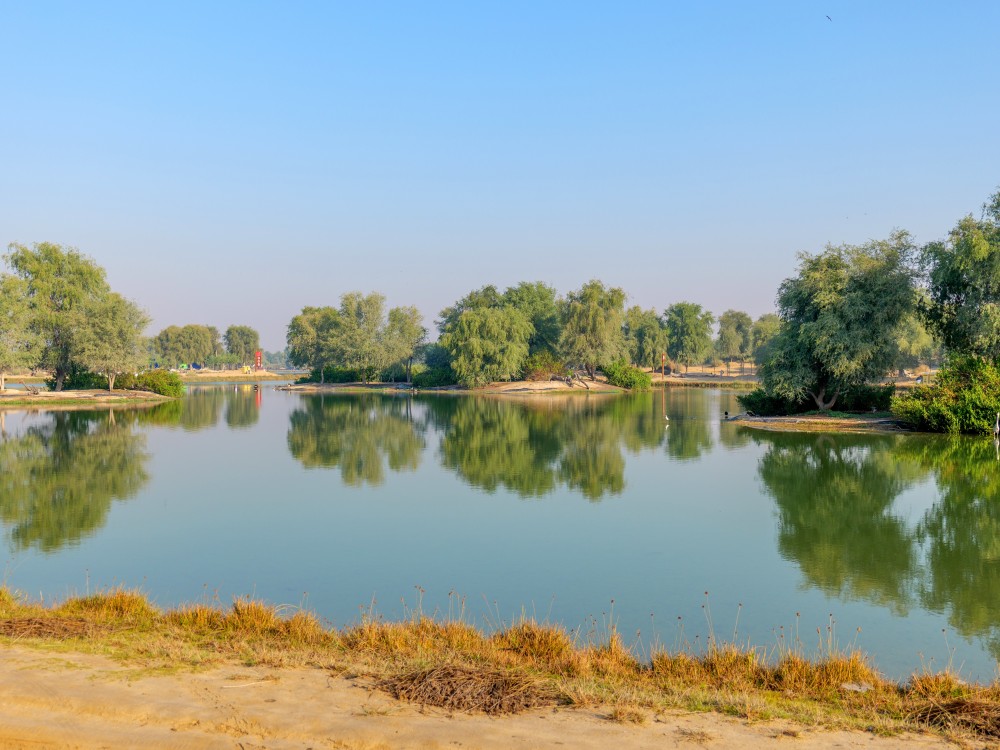 Al Qudra Lakes