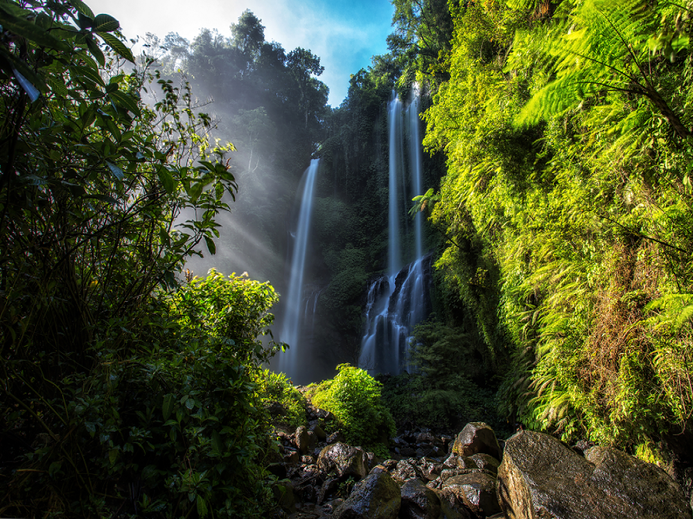Sekumpul Waterfall