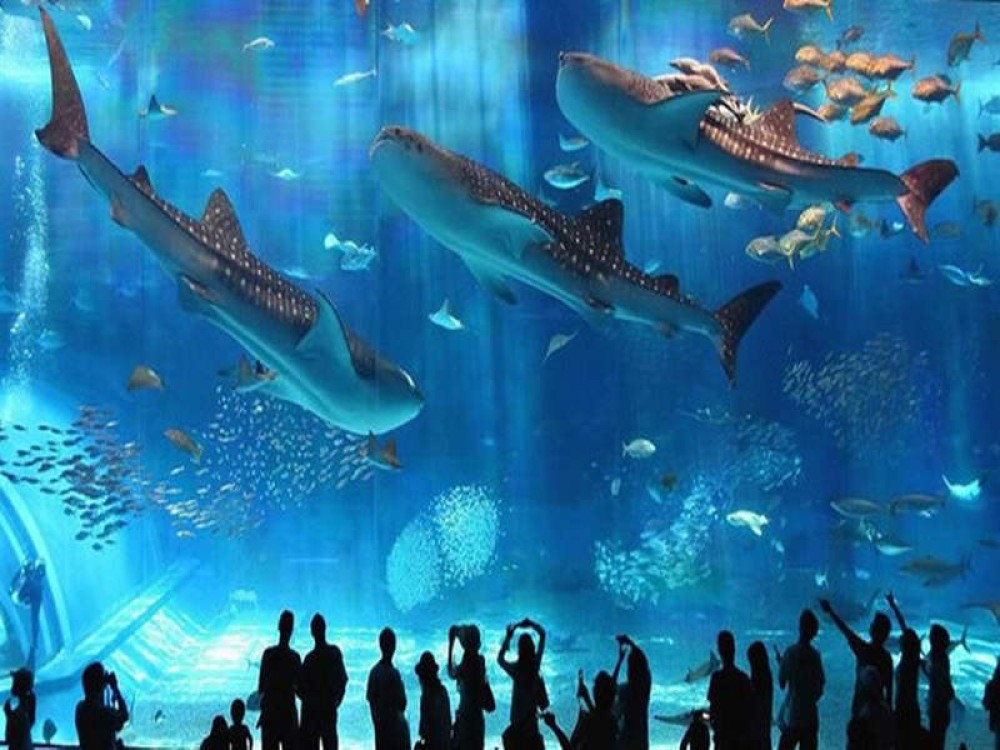 Top 10 Things to Do in Hurghada for an Unforgettable Vacation