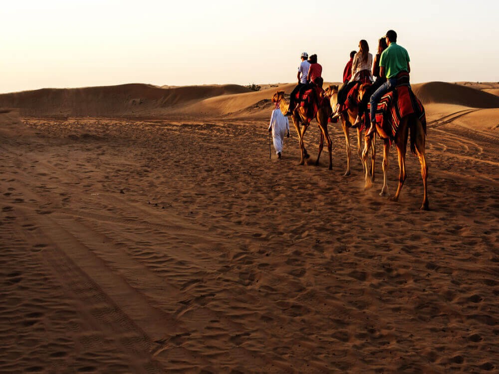 Desert Safaris in Sharm El-Sheikh: An Unforgettable Adventure