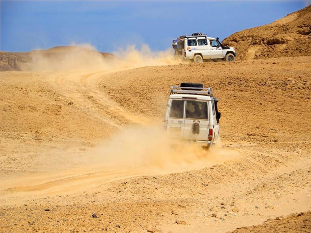 Desert Safaris in Sharm El-Sheikh: An Unforgettable Adventure