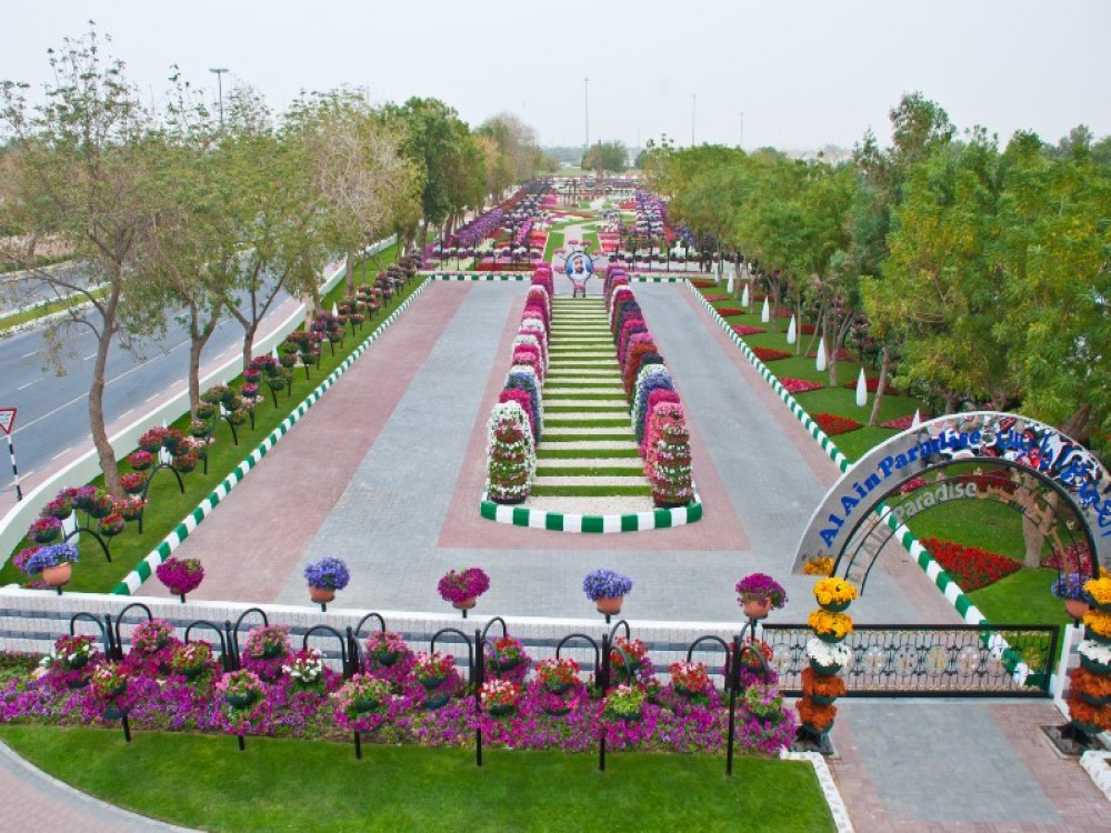 Day Trips from Dubai: Beyond the City