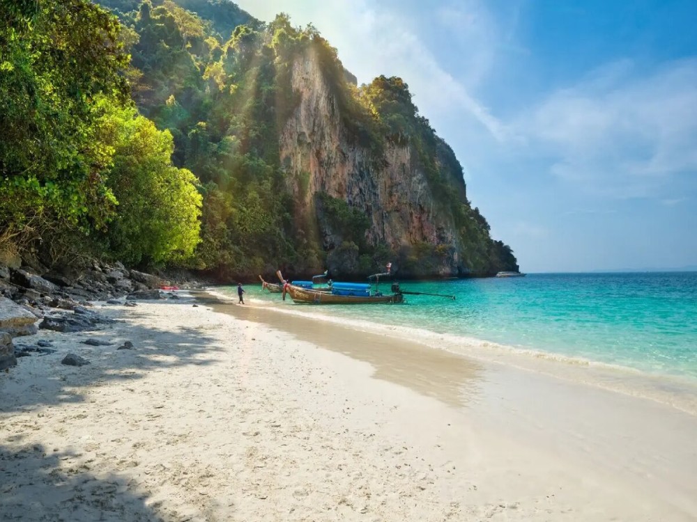 Monkey Beach