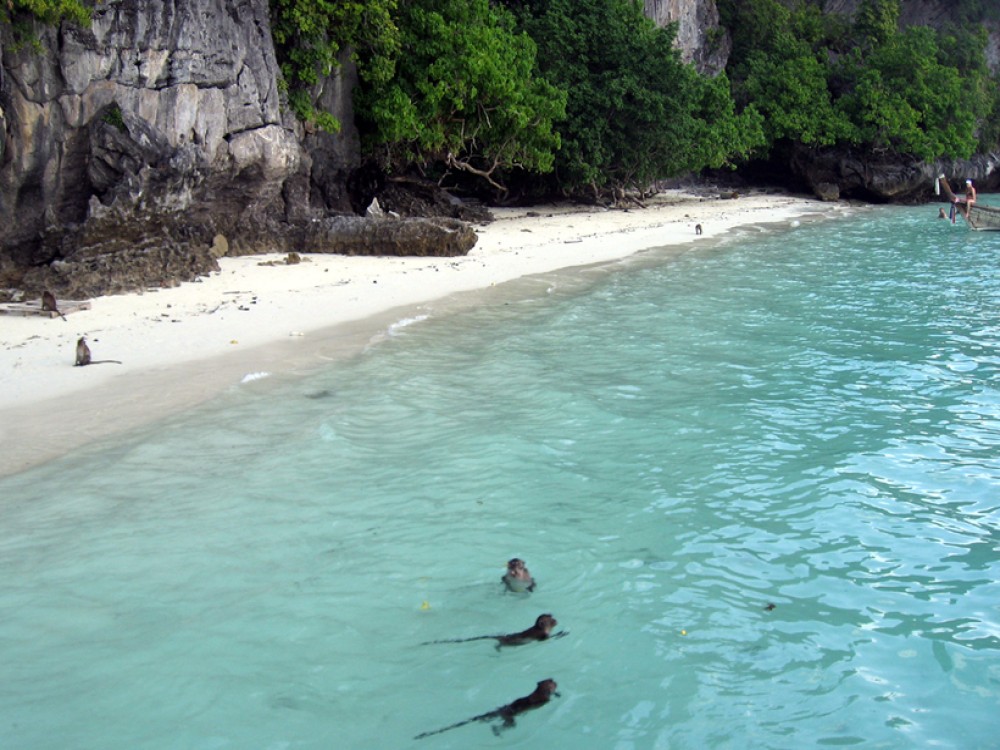 Monkey Beach