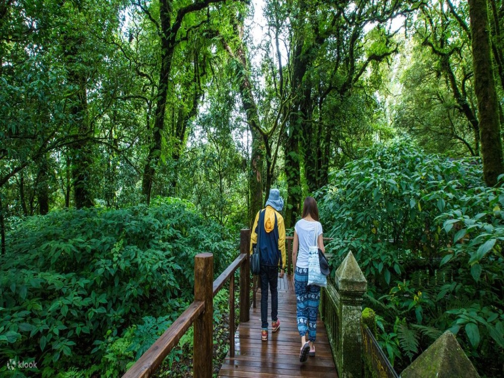 Doi Inthanon National Park