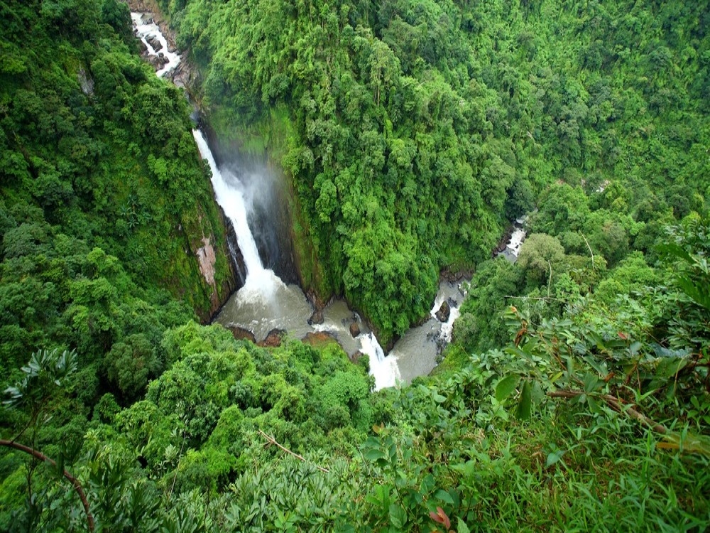 Khao Yai National Park