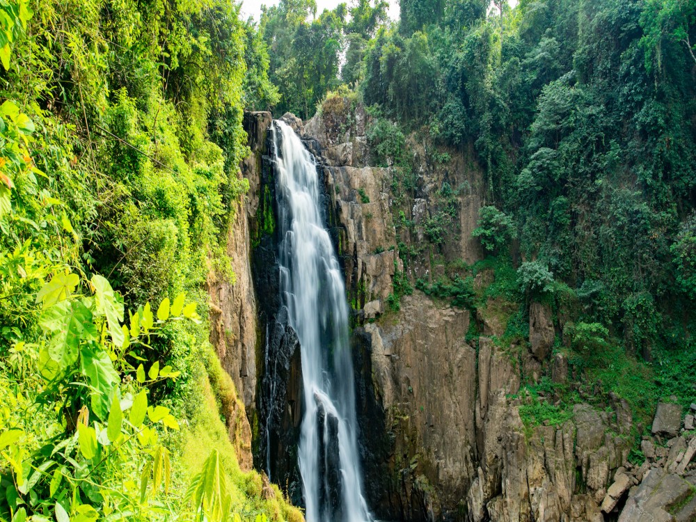 Khao Yai National Park