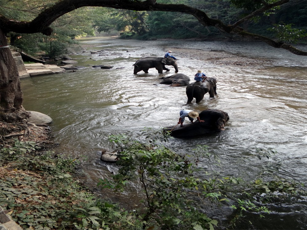 Mae Ping River