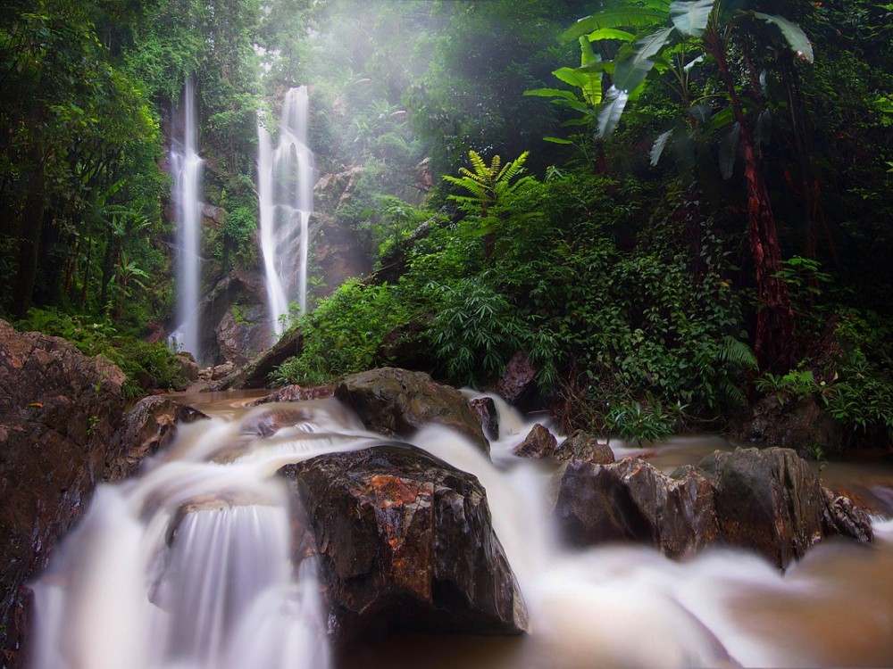Doi Suthep–Pui National Park