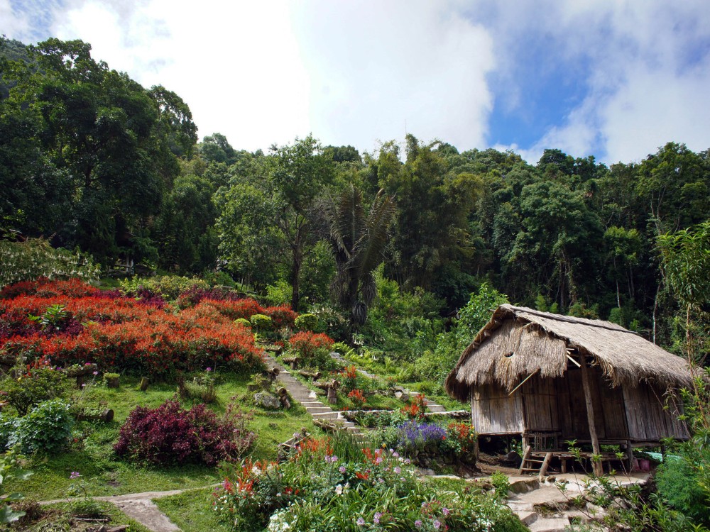 Doi Suthep–Pui National Park