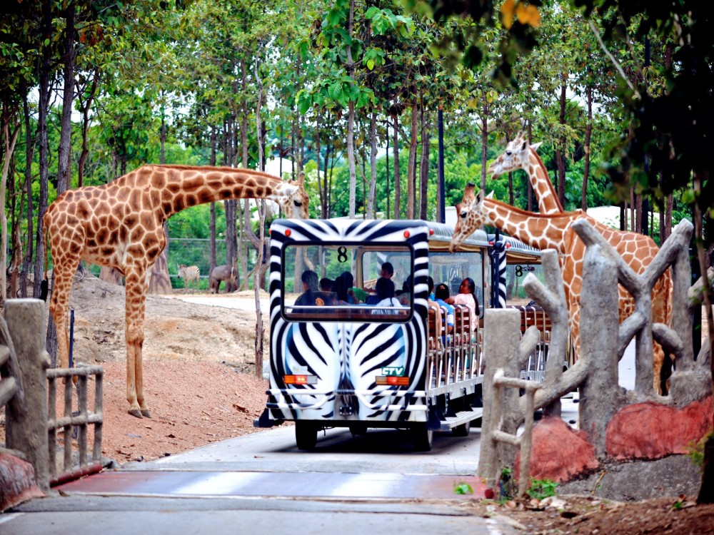 Chiang Mai Night Safari