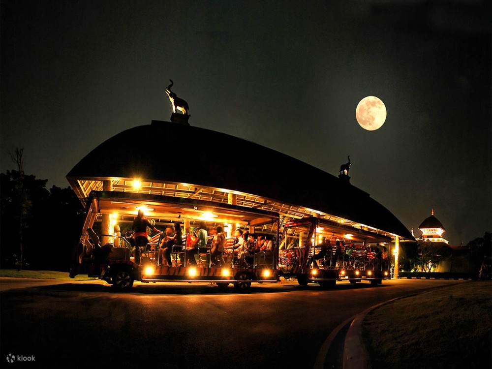 Chiang Mai Night Safari