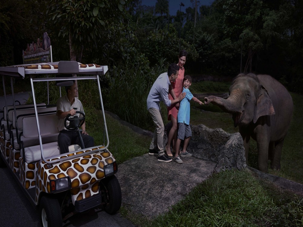 Chiang Mai Night Safari