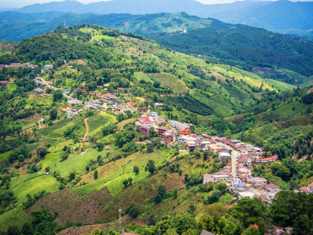 Doi Mae Salong