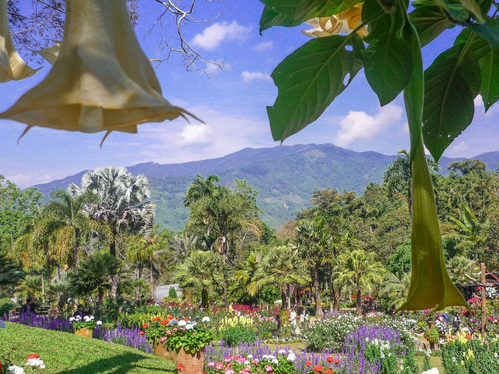 Mae Fah Luang Art and Cultural Park