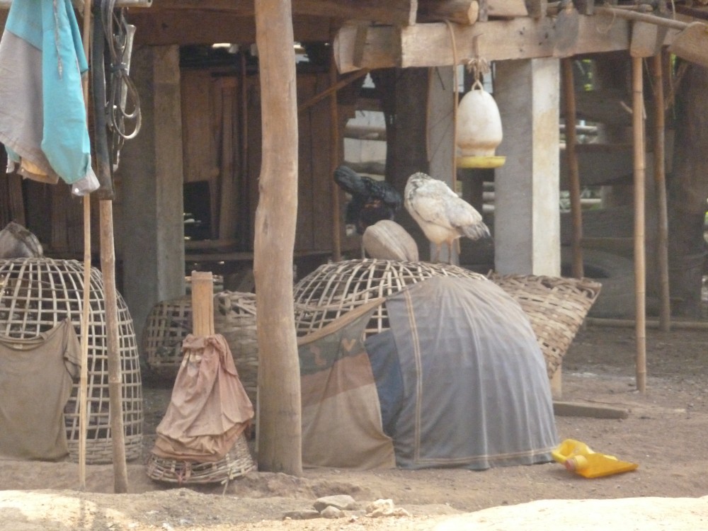 Hilltribe Museum and Education Center