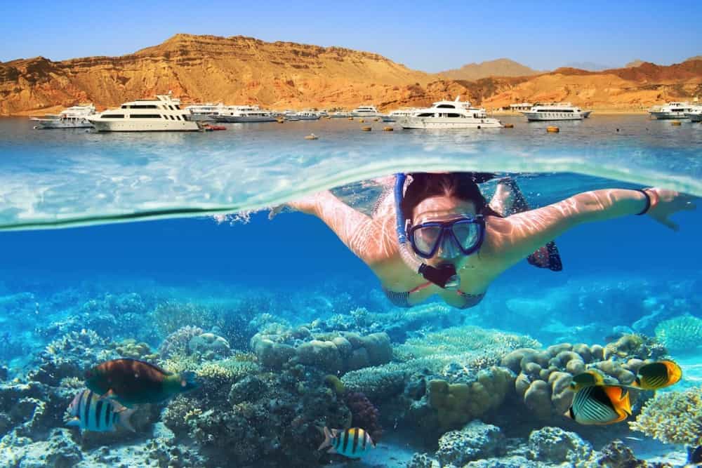 Ras Mohammed National Park