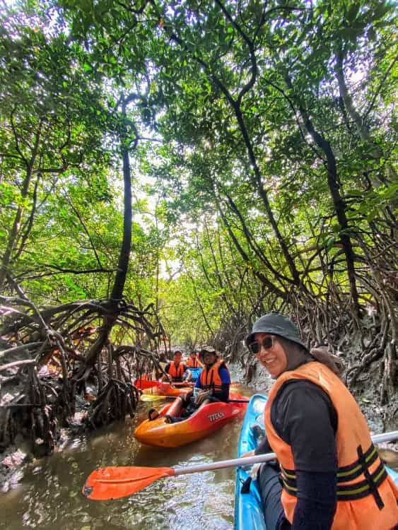 Mangrove Kayaking | ®ExcursionMania