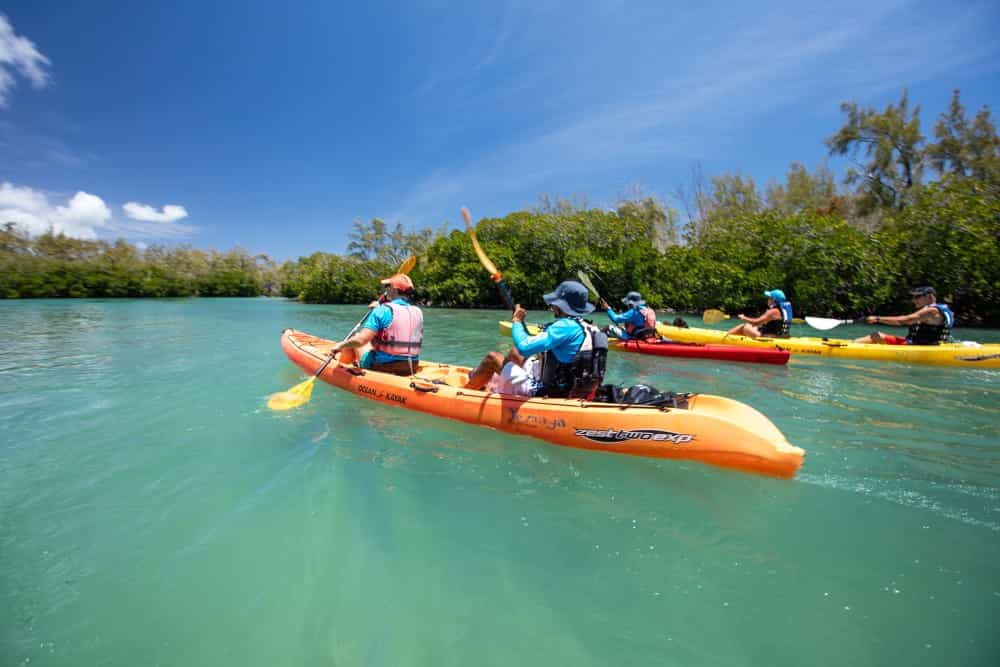 Mangrove Kayaking | ®ExcursionMania