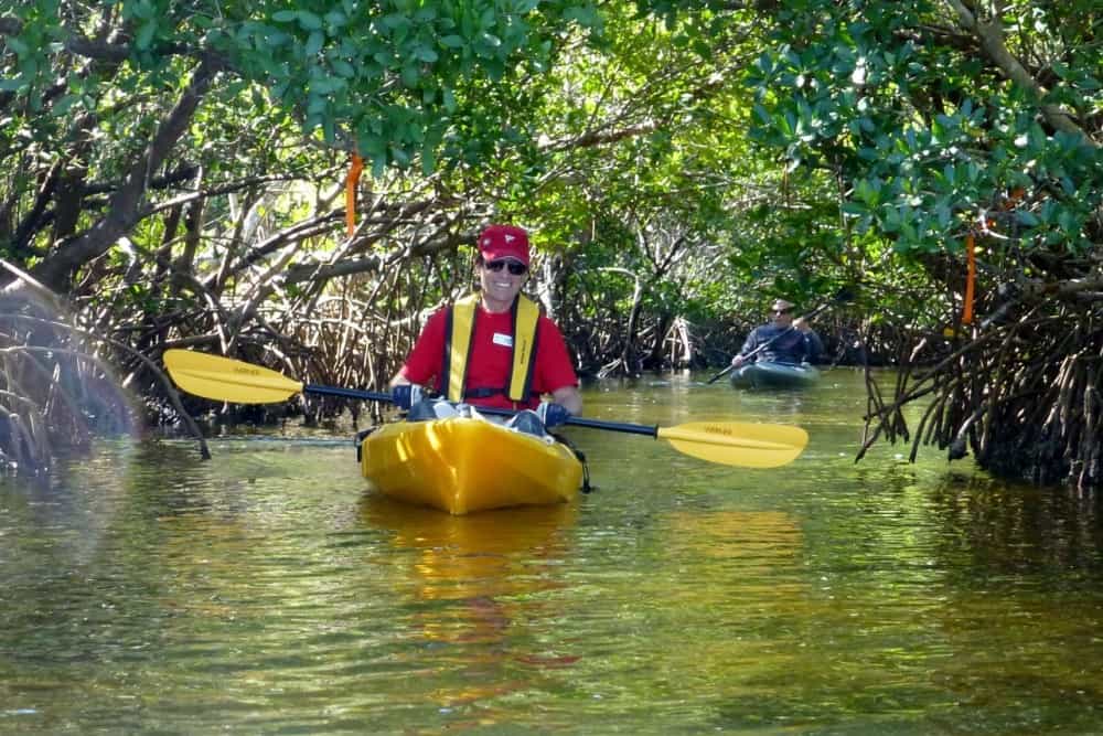 Mangrove Kayaking | ®ExcursionMania