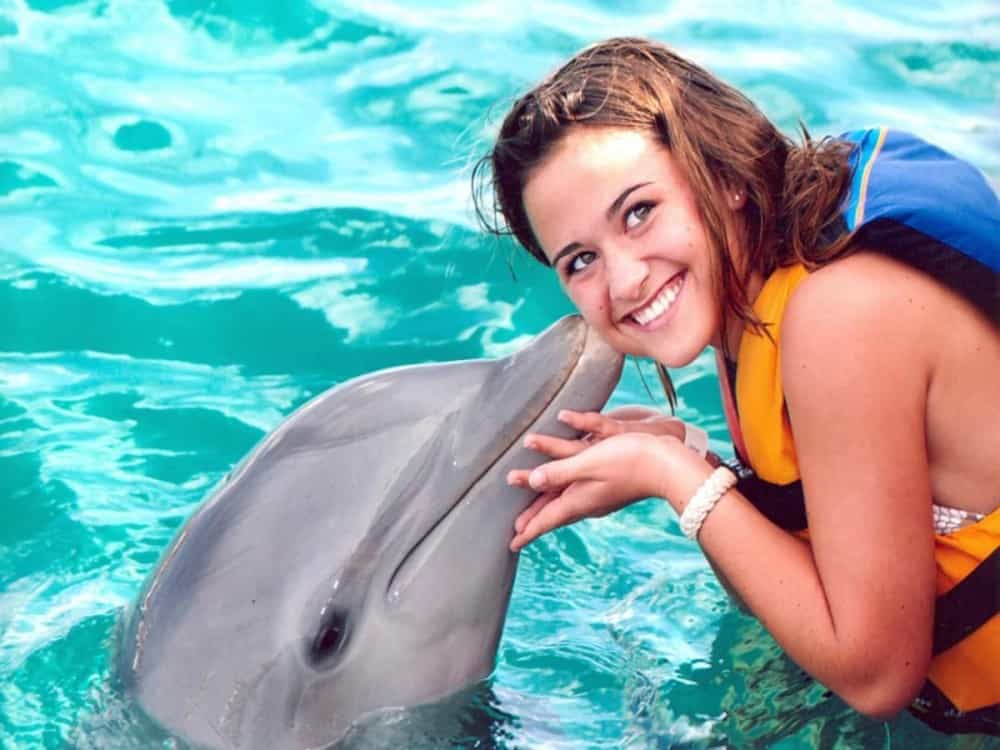 Antalya: Swimming with Dolphins & Hotel Transfer | ®ExcursionMania