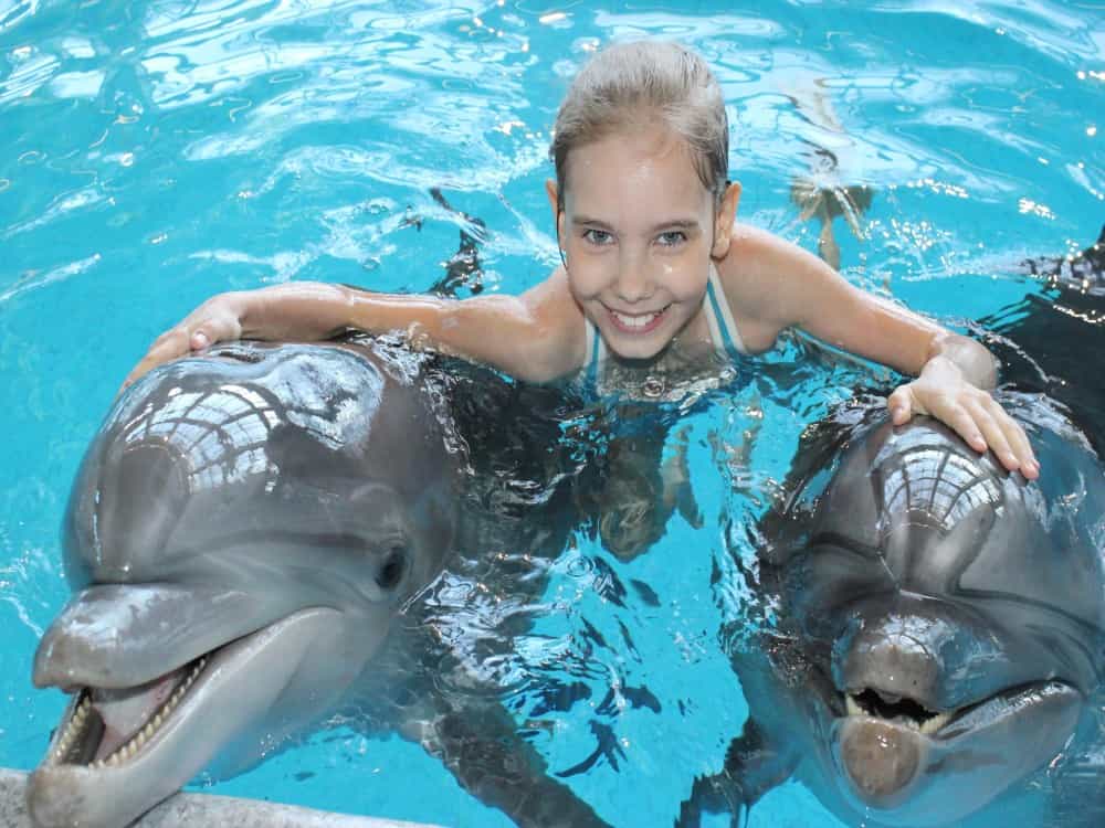 Antalya: Swimming with Dolphins & Hotel Transfer | ®ExcursionMania
