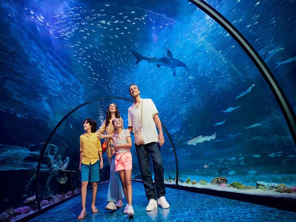 The National Aquarium Abu Dhabi