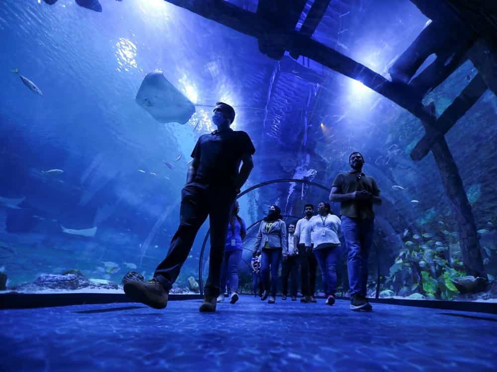 The National Aquarium Abu Dhabi