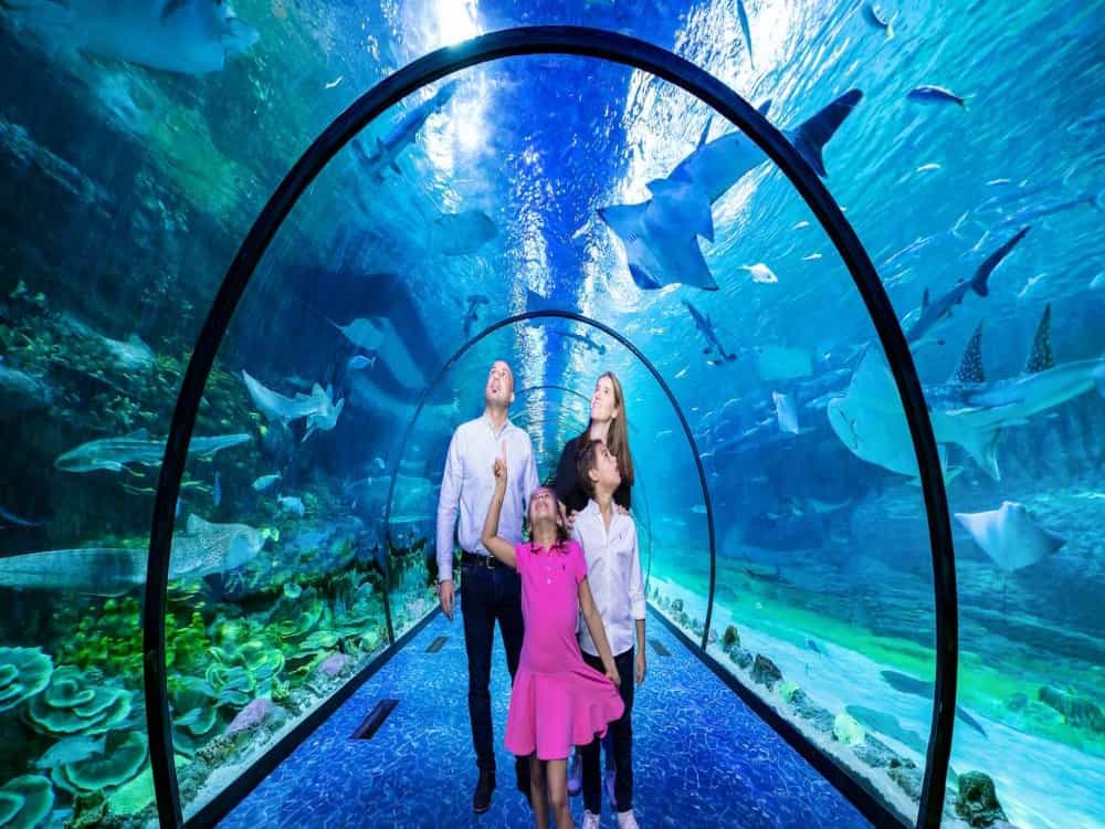 The National Aquarium Abu Dhabi