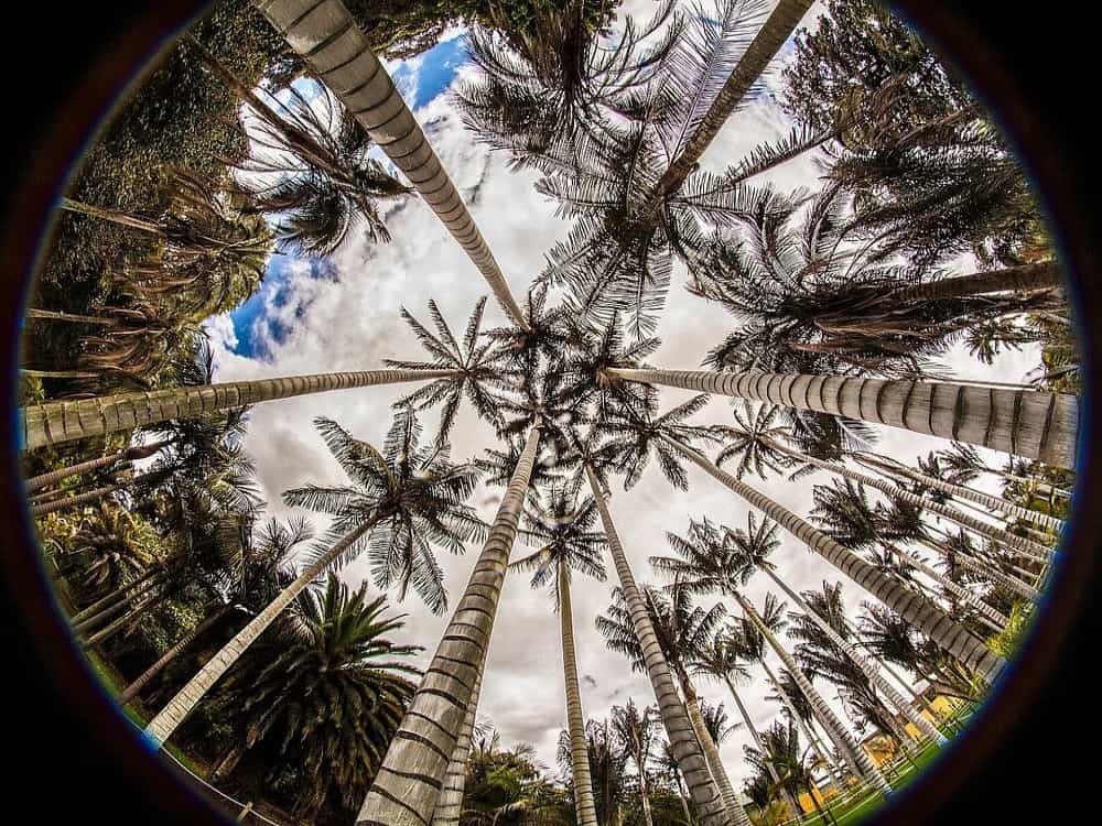 Jardin Botanico de Bogota Jose Celestino Mutis