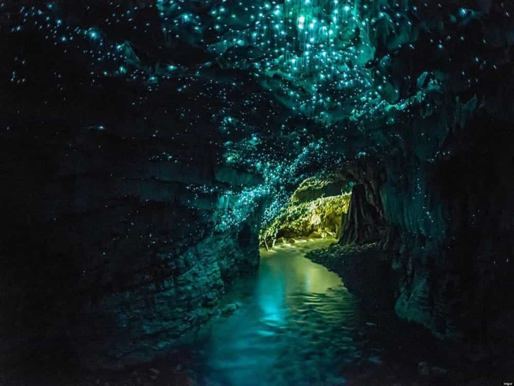 Te Anau Glowworm Caves