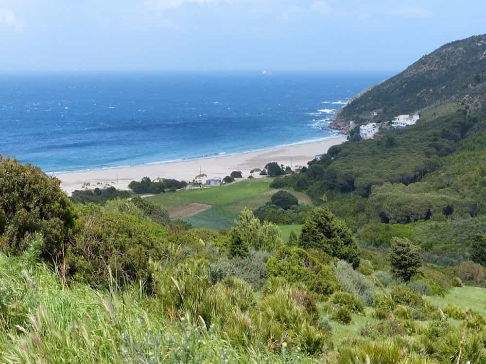Dalia Beach