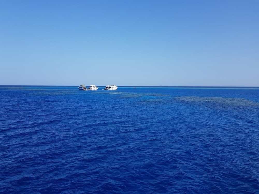 Dolphin House - Shaab Samadai