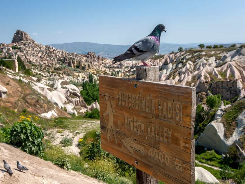 When should I go to Cappadocia?<